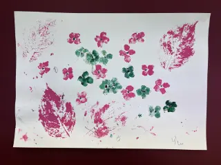 まぼろし紫陽花（あじさい）