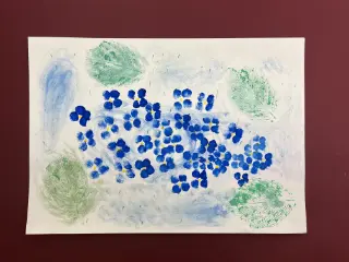 まぼろし紫陽花（あじさい）