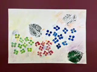 まぼろし紫陽花（あじさい）