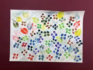 まぼろし紫陽花（あじさい）