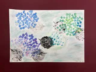 まぼろし紫陽花（あじさい）