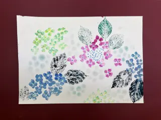 まぼろし紫陽花（あじさい）